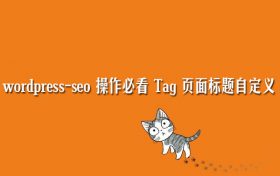 WordPress-seo优化操作：Tag页面标题自定义及Tag描述调用